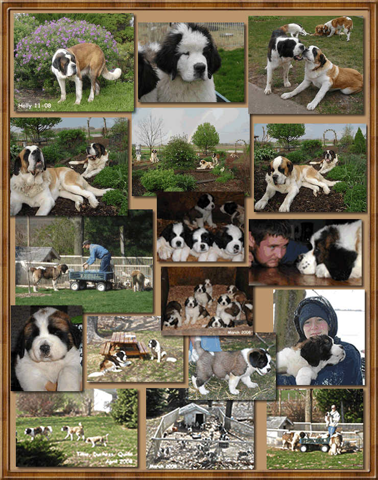 photo gallery 5